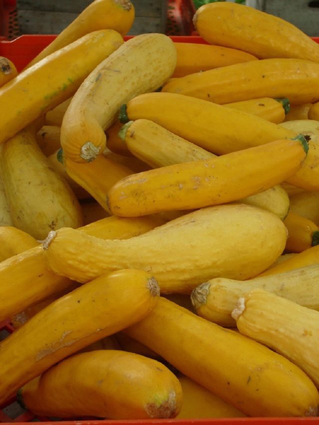 The BlackEyed Pea Baked Squash Restaurant Recipe