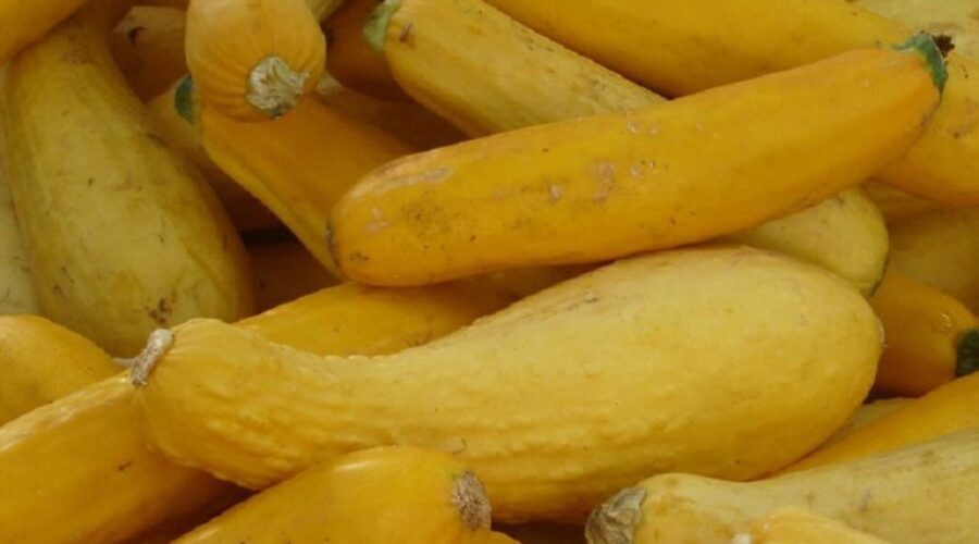 Black-Eyed Pea Baked Squash Recipe