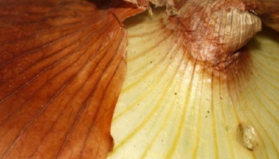 Bobby Flay's FoodNation Vidalia Onion Dip Recipe
