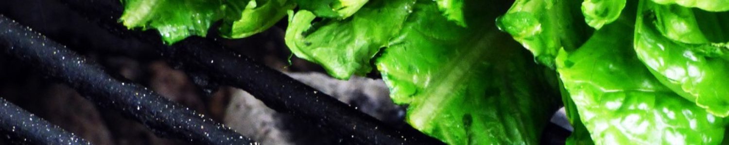 Longhorn Steakhouse Grilled Caesar Salad Recipe