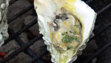 Anthony's BBQ Oysters with Citrus Garlic Butter Recipe