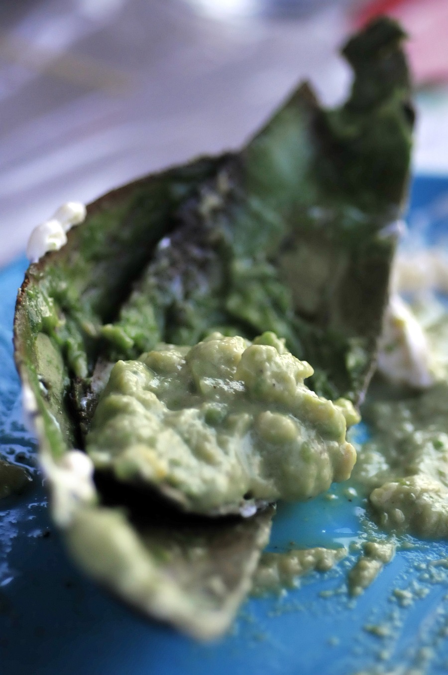 Disney's Mission Tortilla Factory BLT Wrap with Avocado Spread Recipe