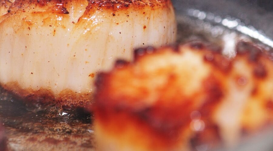McCormick & Schmick's Seared Scallops with Mushroom Ragout Recipe