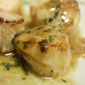 Boston Beanery Bay Scallops in Wine Recipe
