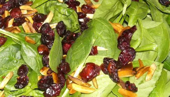 Sizzler Spinach Cranberry Salad Recipe