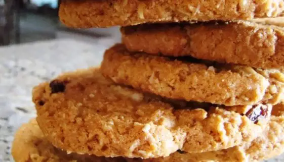 Paradise Bakery Oatmeal Raisin Cookies Recipe