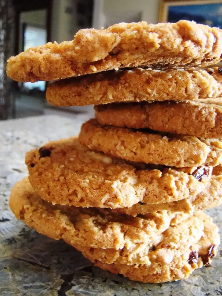 Paradise Bakery Oatmeal Raisin Cookies Recipe - Secret Copycat ...