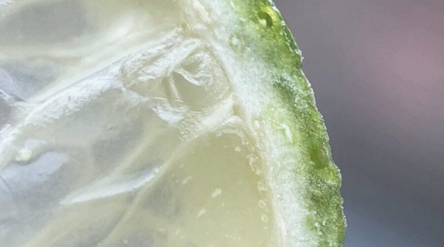 Blue Mesa Grill Lime Salad Dressing Recipe