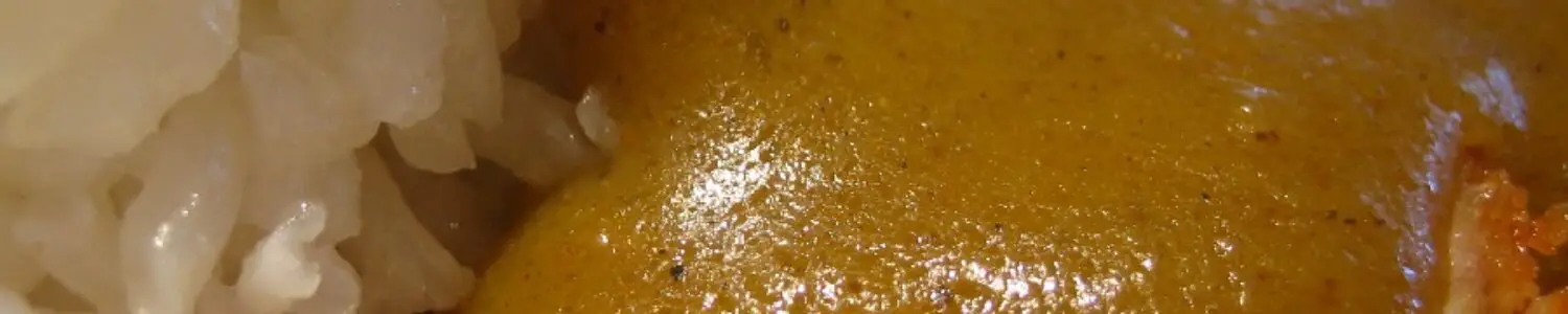 Wagamama Katsu Curry Sauce Recipe