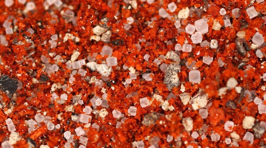 Morton Season All Seasoning Recipe