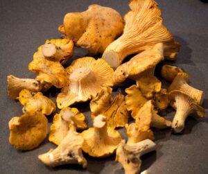 The Capital Grille Roasted Chanterelle Mushrooms