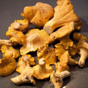 The Capital Grille Roasted Chanterelle Mushrooms