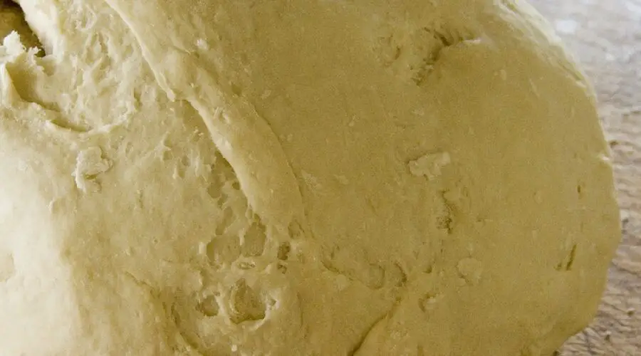 Domino's Pizza Parmesan Asiago Pizza Dough Recipe