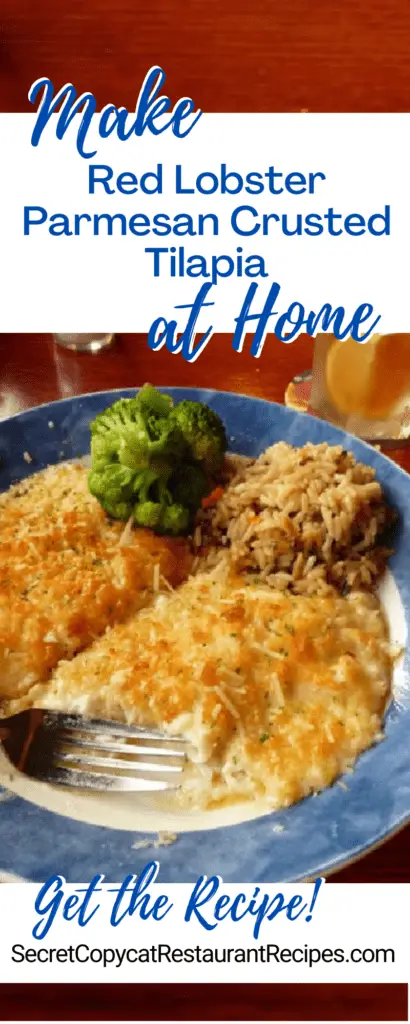 Red Lobster Parmesan Crusted Tilapia Recipe