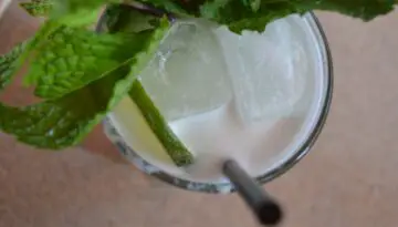 Alamo Drafthouse Mojito Cocktail Recipe