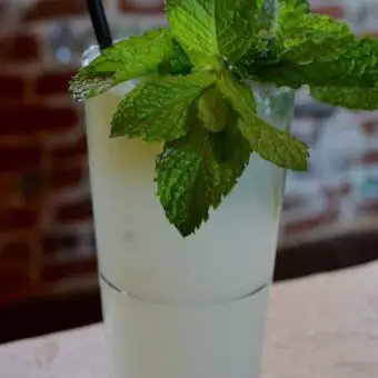Trader Vic's Mojito Cocktail Recipe