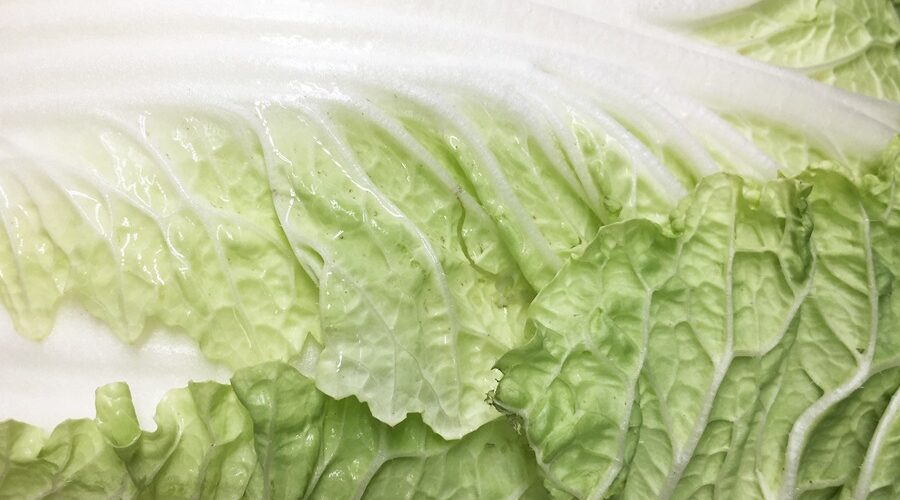 Joe's Stone Crab Armand Salad Recipe