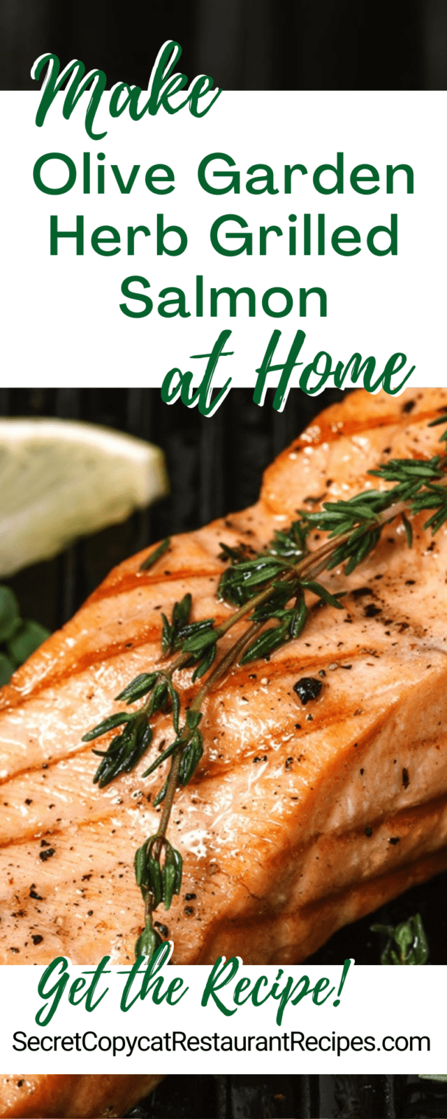 Olive Garden Herb Grilled Salmon Recipe Secret Copycat Restaurant Recipes