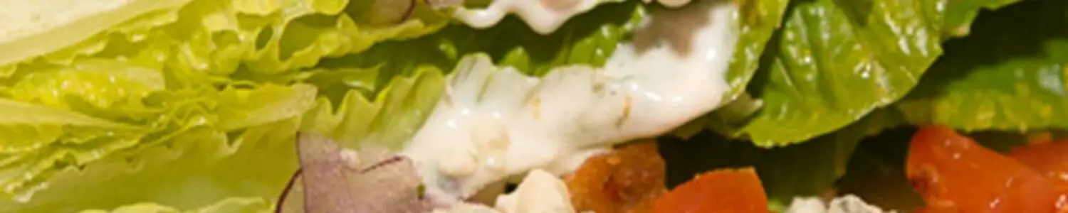 Longhorn Steakhouse Bleu Cheese Dressing Recipe