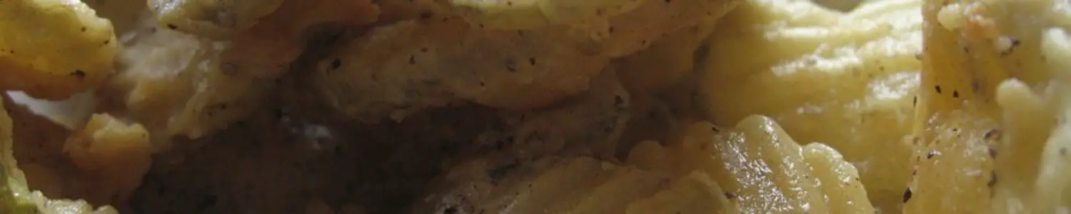 O'Charley's Fried Pickle Chips Recipe