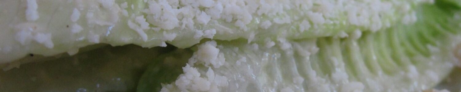 Avanti Grilled Chicken Caesar Salad Recipe