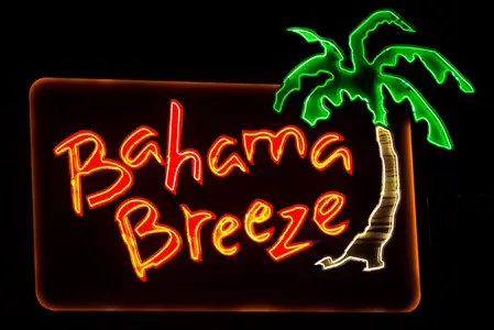Bahama Breeze Copycat Recipes